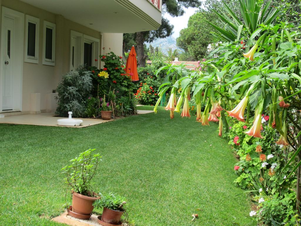 Néa Mákri Villa Verde Apart-Hotel מראה חיצוני תמונה