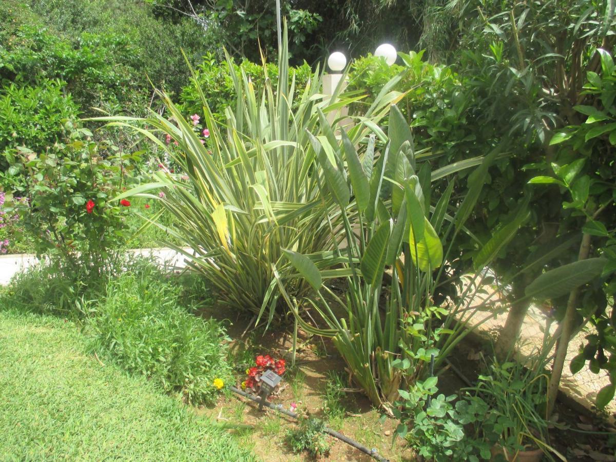 Néa Mákri Villa Verde Apart-Hotel מראה חיצוני תמונה