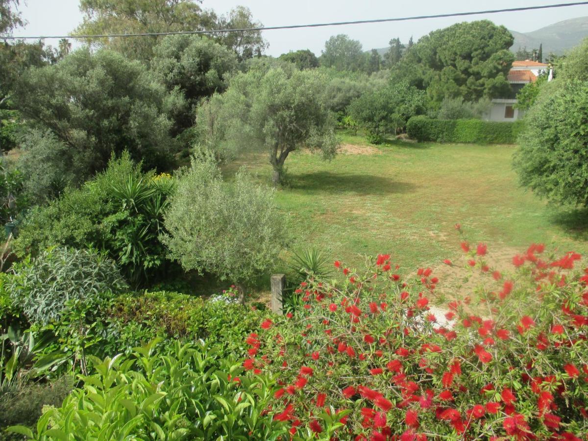 Néa Mákri Villa Verde Apart-Hotel מראה חיצוני תמונה